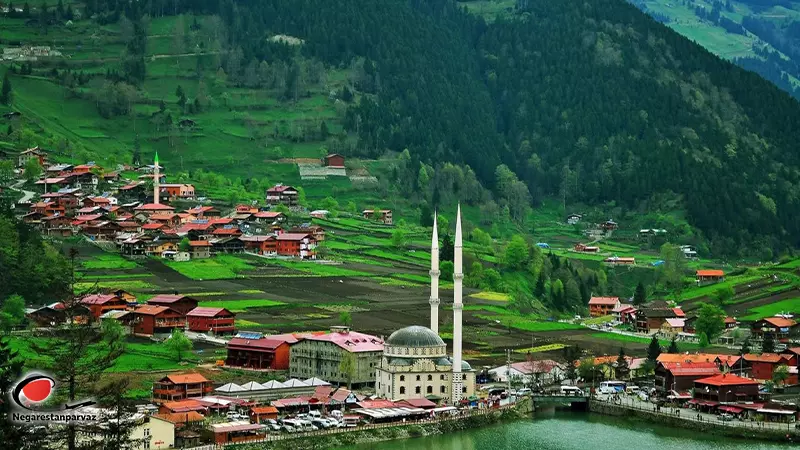 گروه هتل های ترابزون