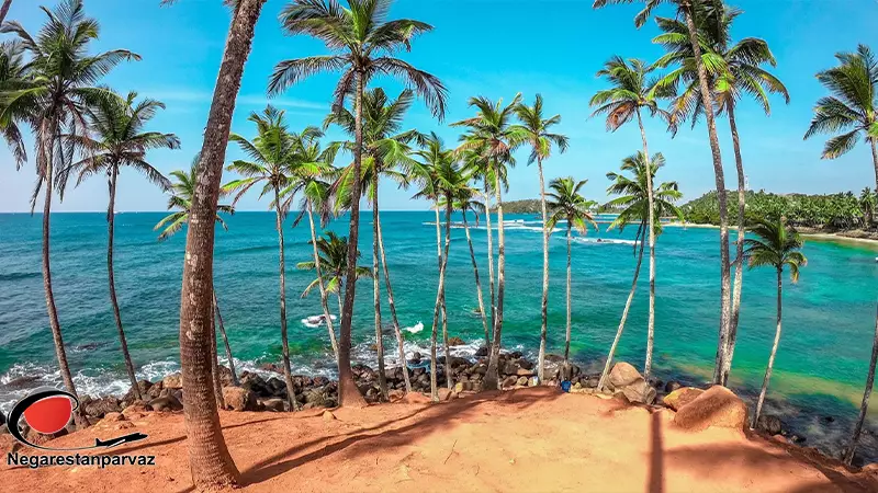 گروه تور سریلانکا