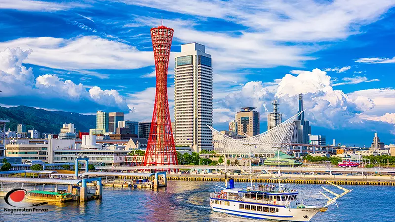 گروه تور ژاپن