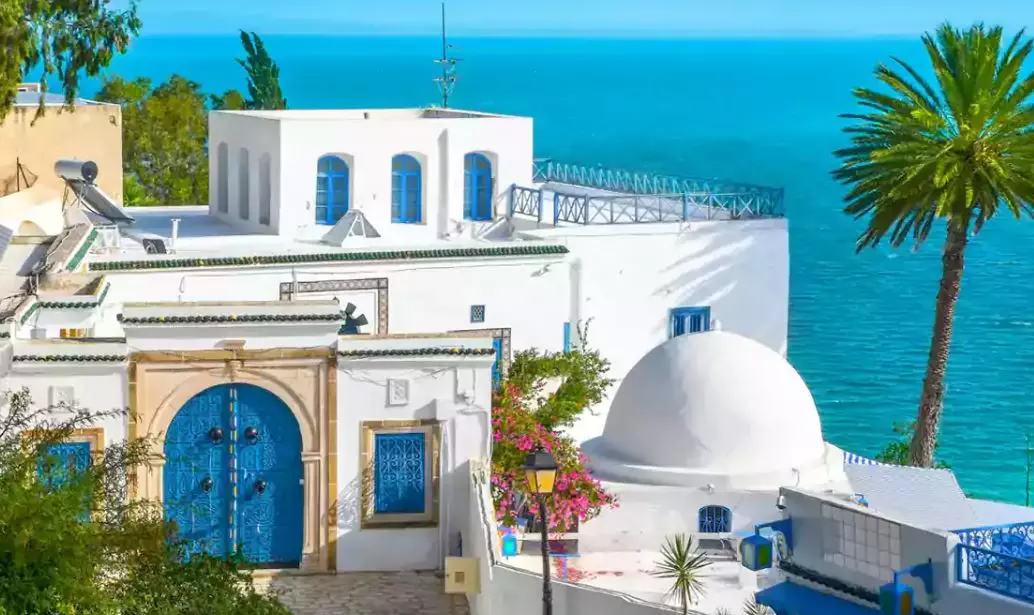 گروه تور ترکیبی تونس